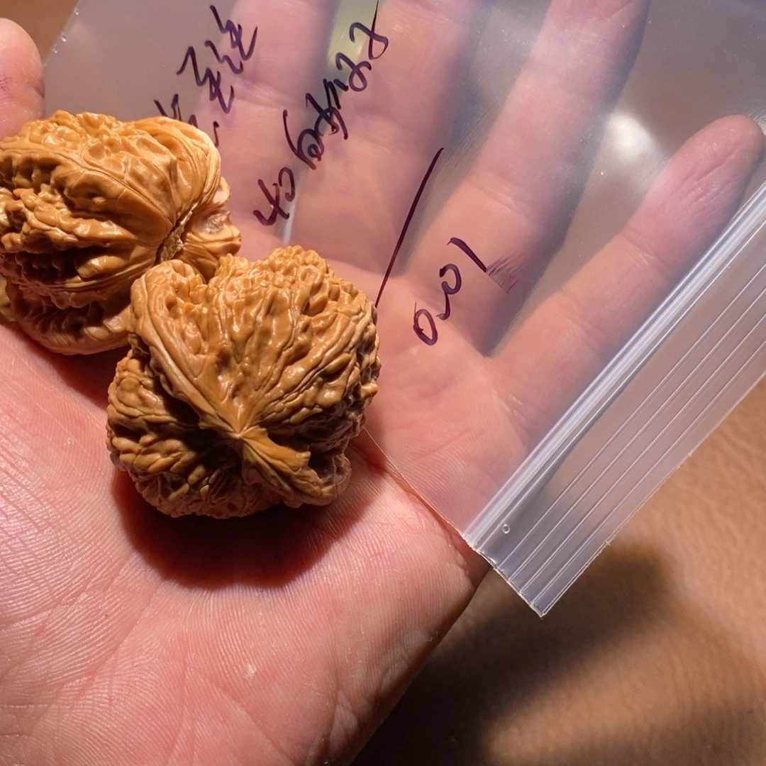 手串/手链核桃789654