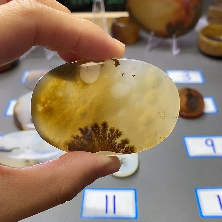 玛瑙/玉髓未镶嵌珠宝半成品164