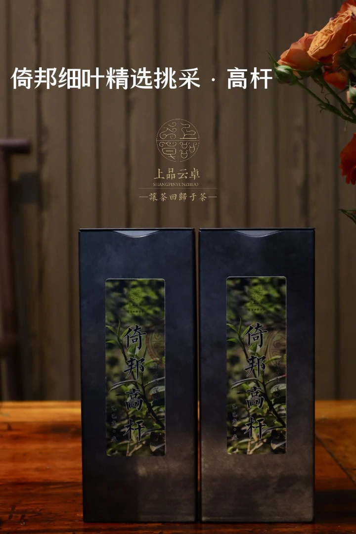 倚邦细叶高杆2025年春茶普洱生茶