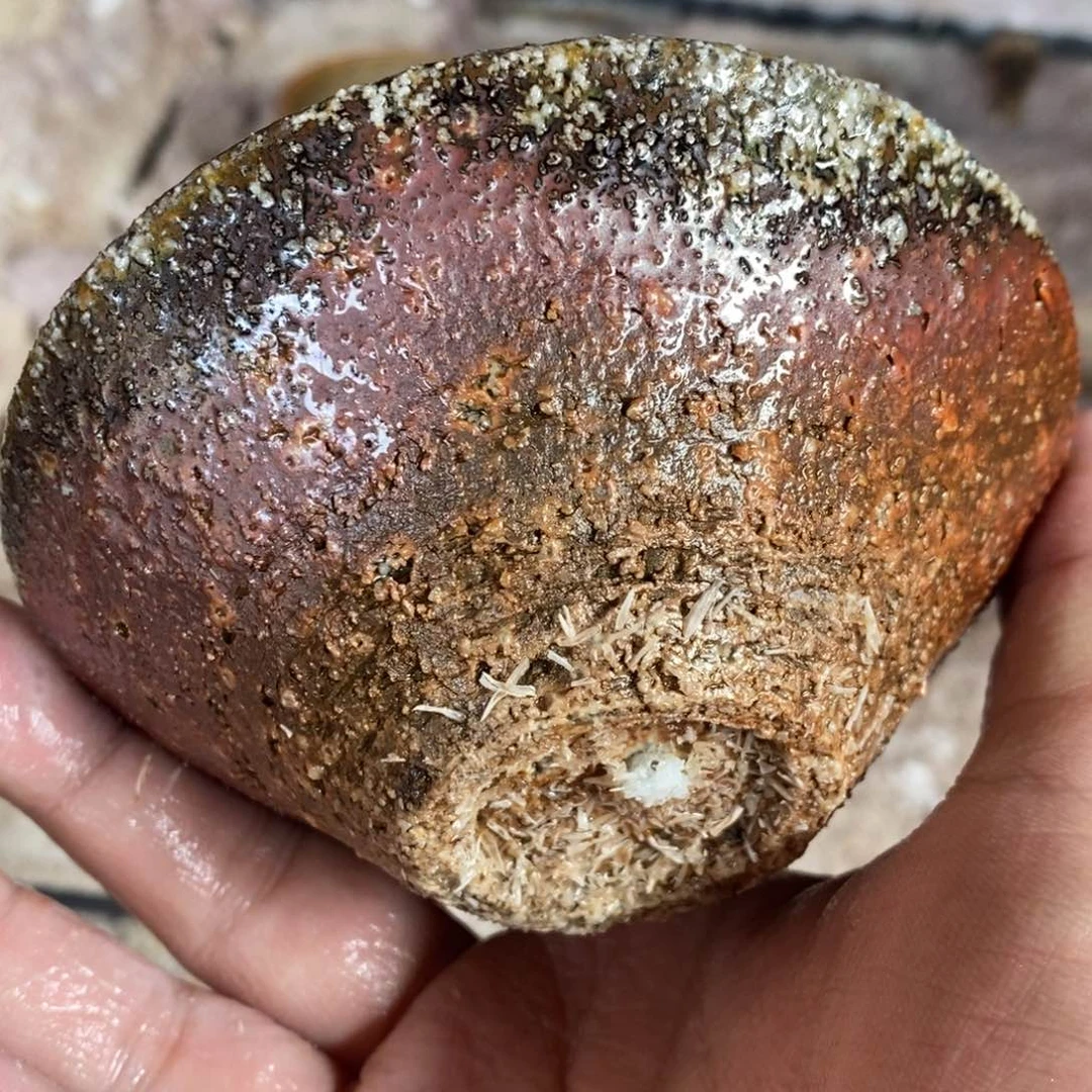 开窑大吉，高货多多868