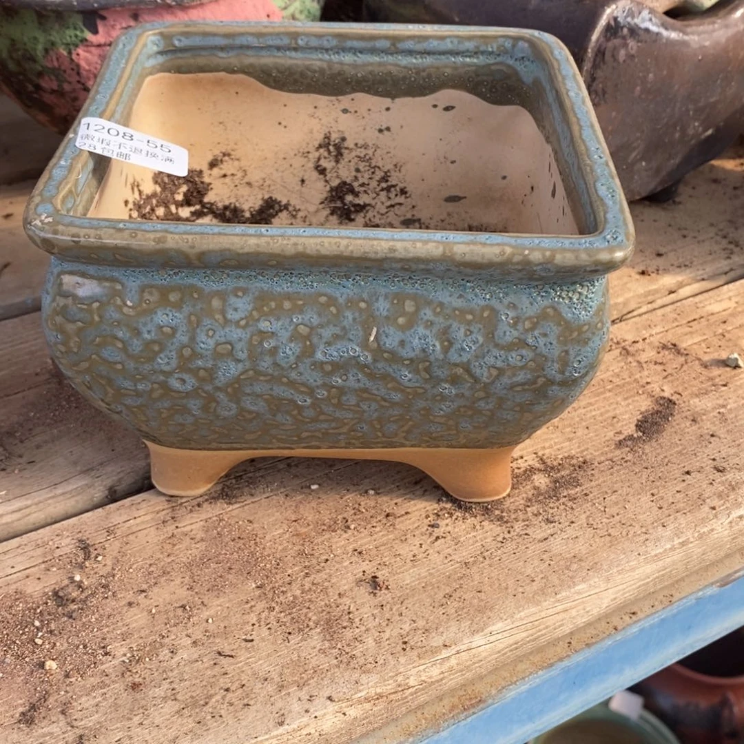 55号多肉盆口径13