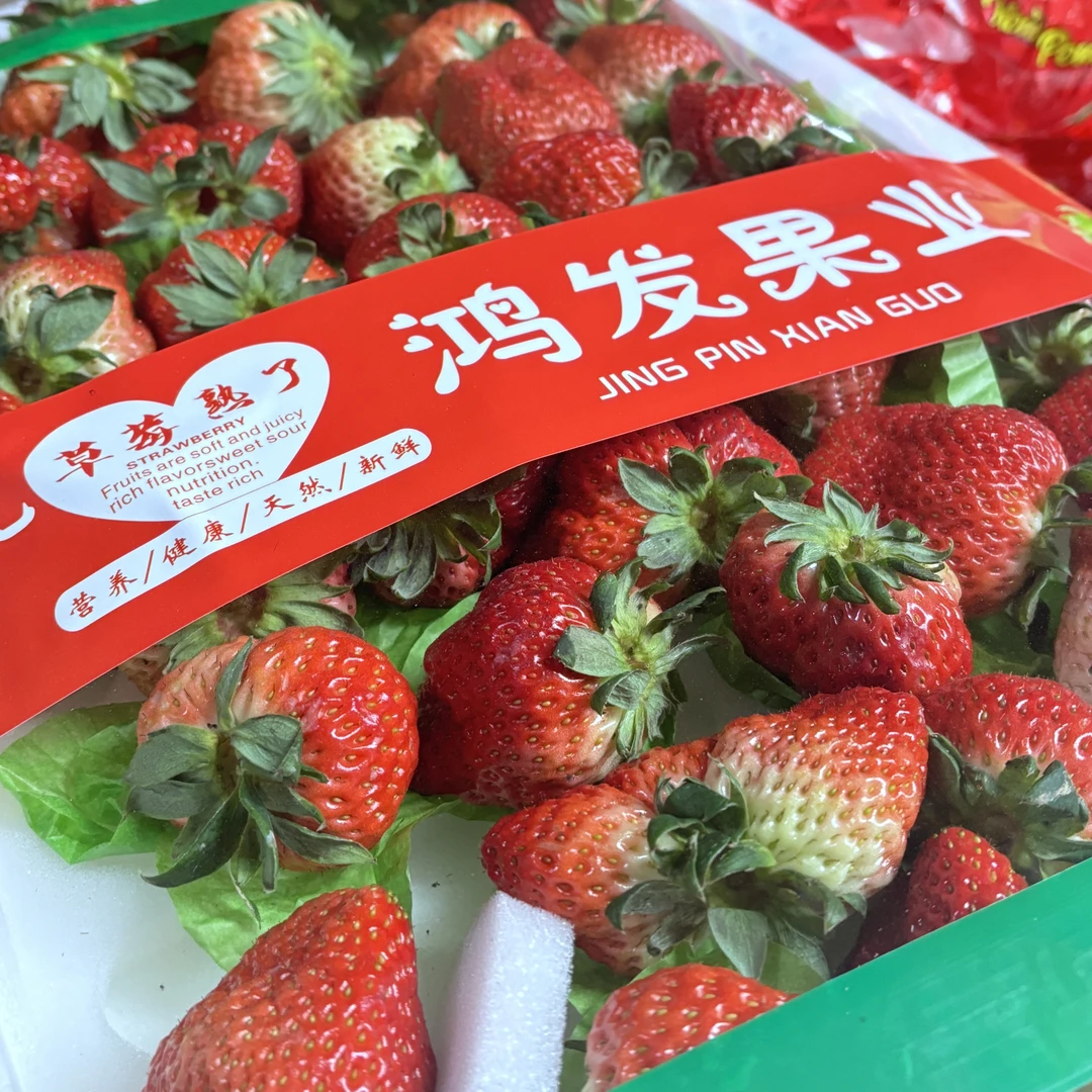 5斤半大颗草莓