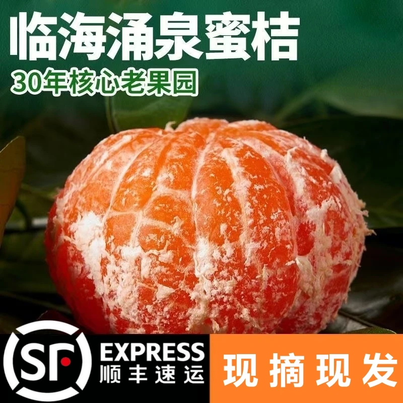 顺丰上门【正宗临海涌泉蜜桔]新鲜橘子现摘无籽蜜桔原产地直发21