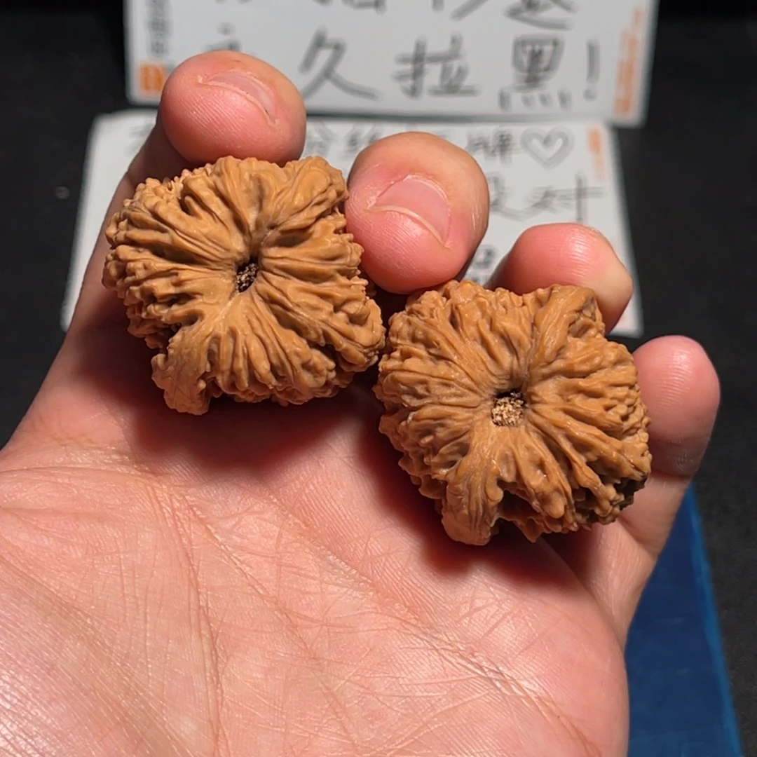 36全品龟背高炮凹底南疆有黄