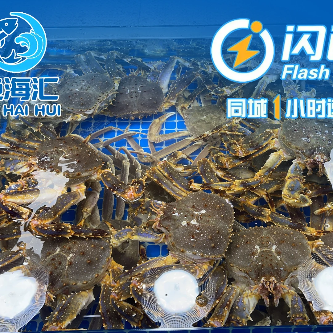 缺氧帝王蟹 小 可以收拾处理 半价出售