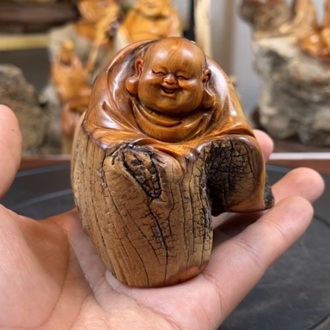 柏木（崖柏）bv v h j h j k k k