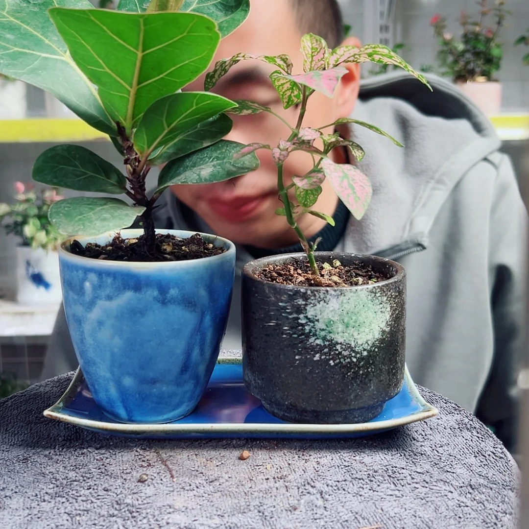 啾***咪无花朵54