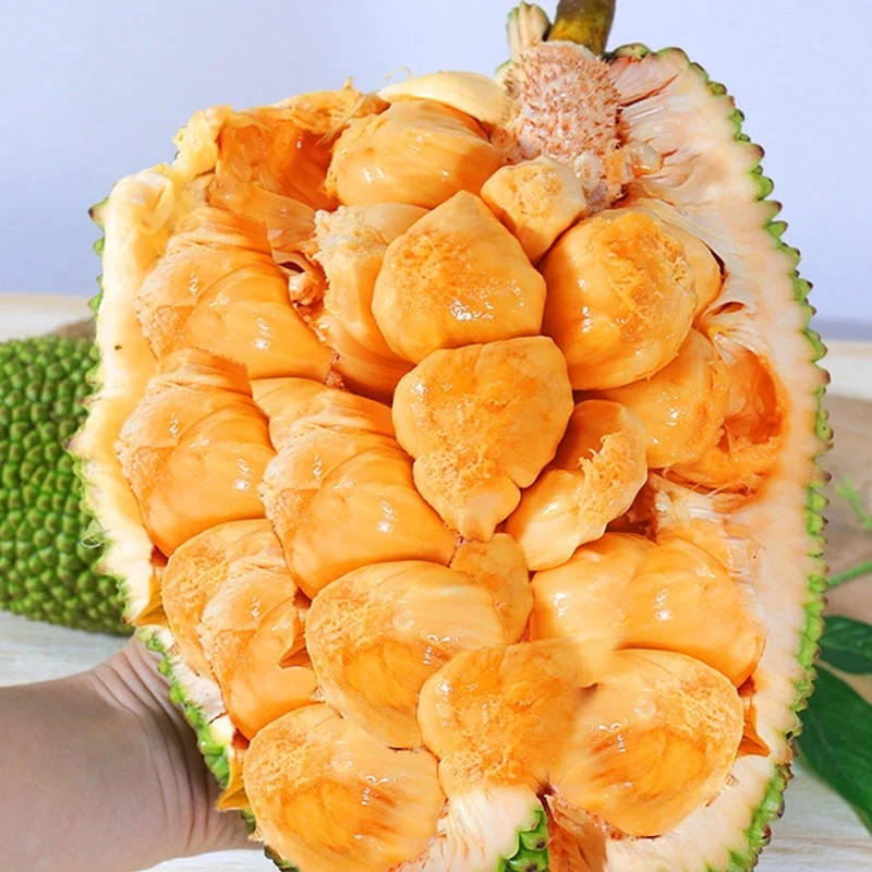 【确认生熟在食用】正宗海南三亚干苞榴莲蜜新鲜热带水果产地