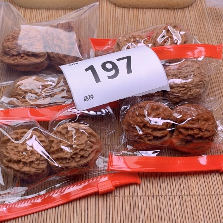 文玩核桃把件197号6对