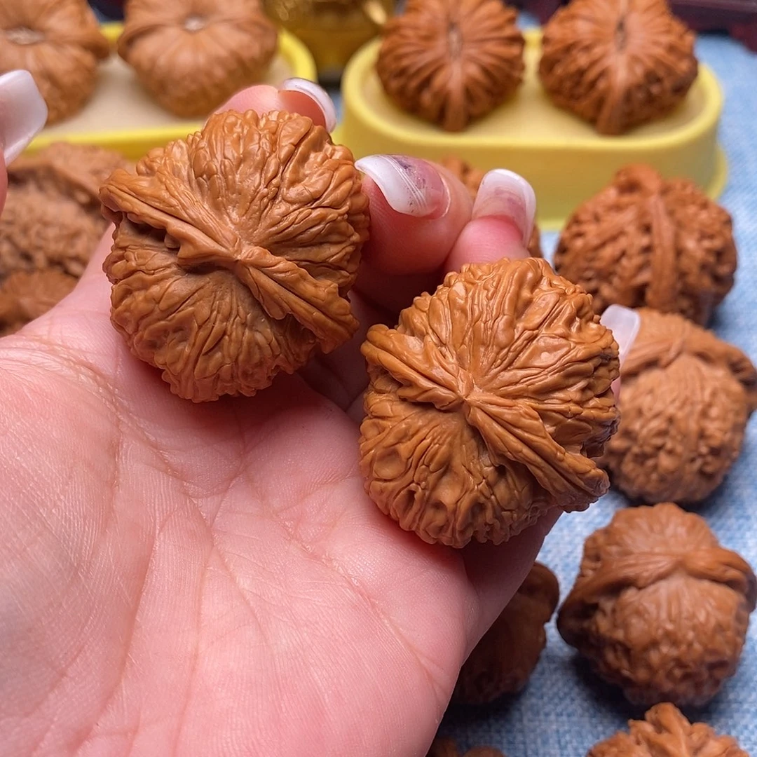 文玩核桃把件毕业白狮子41尺全品