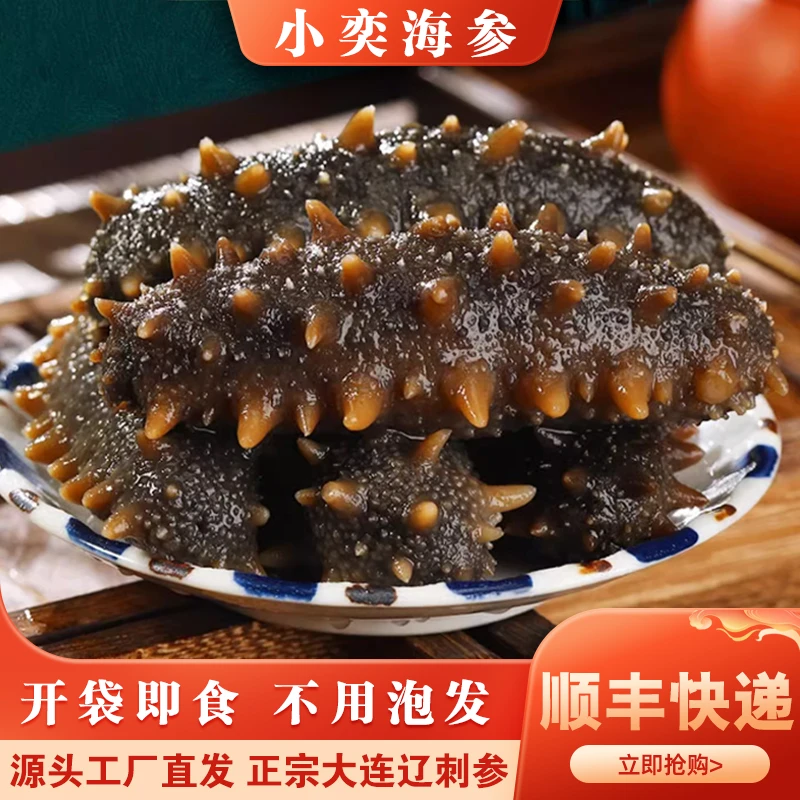 【蒸食工艺】【6-10头】 大连辽刺参即食海参滋补