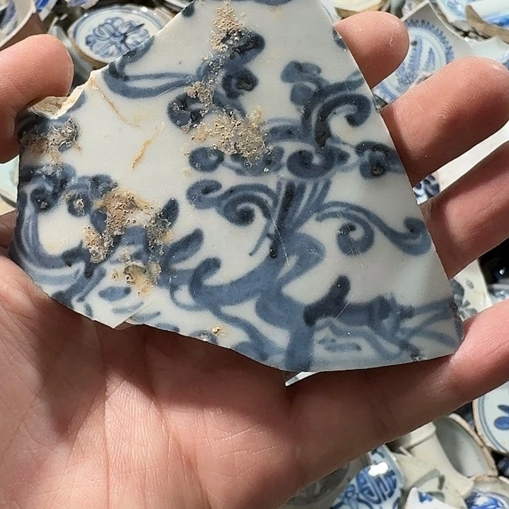 奥***l瓷片瓷片标本，顺丰包邮