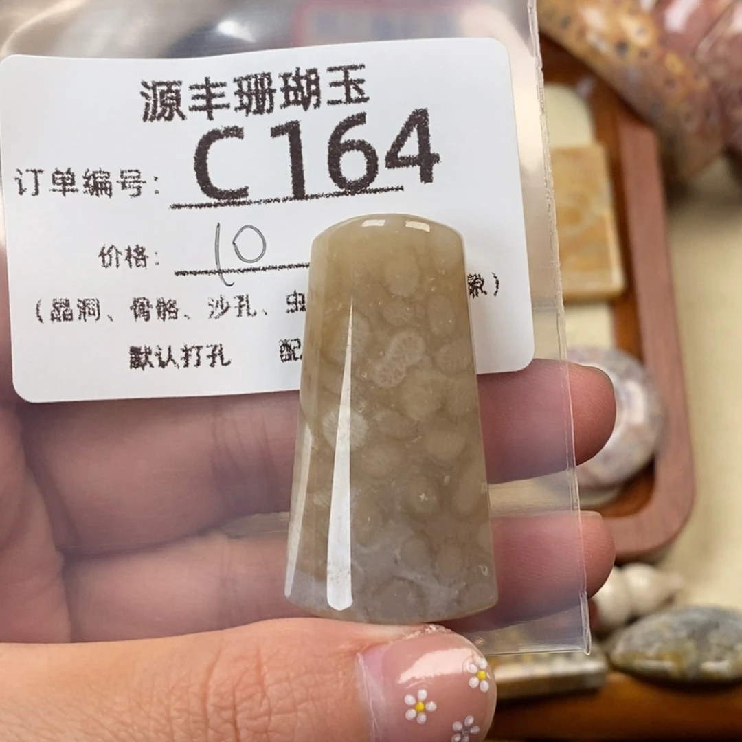 邶***风硅化玉未镶嵌颈饰