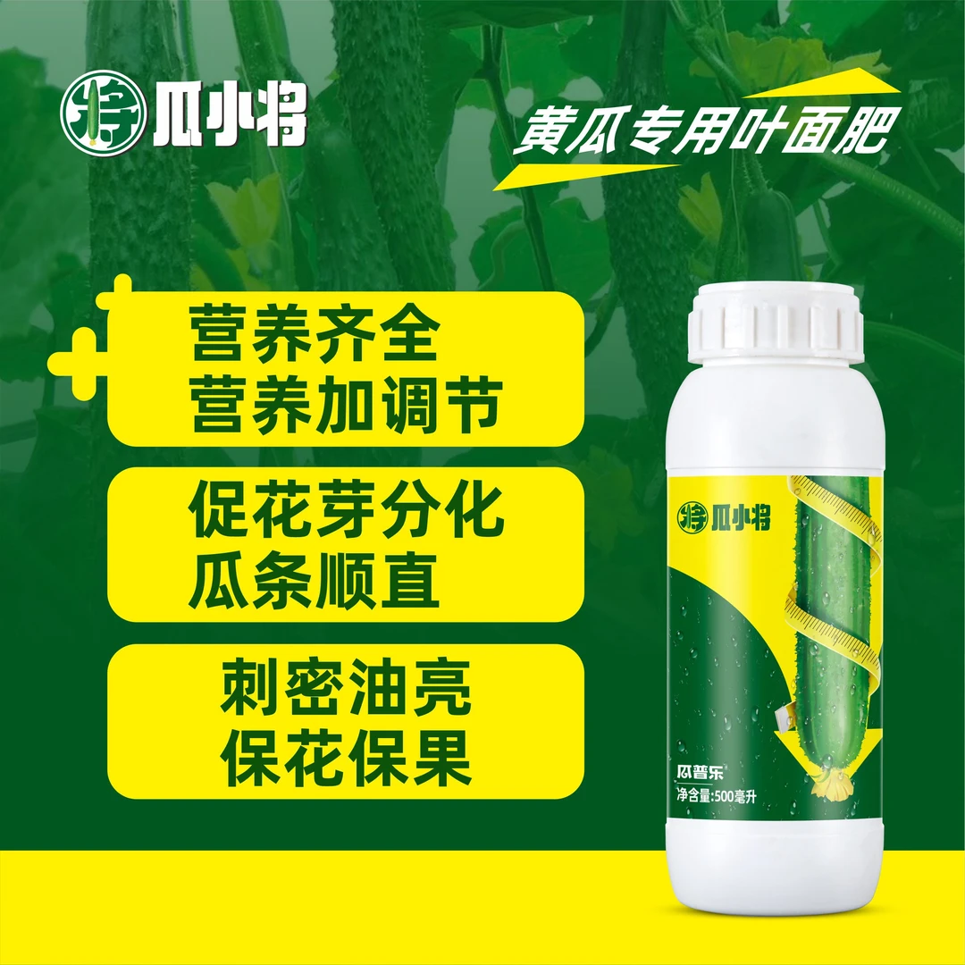 瓜小将黄瓜营养调节花芽分化蔬菜高级叶面肥黄瓜专用拉长拉直保果