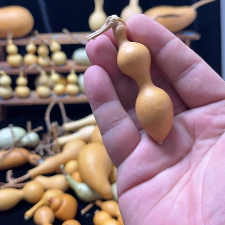 狗***我在外面吃饭了哈我要回家