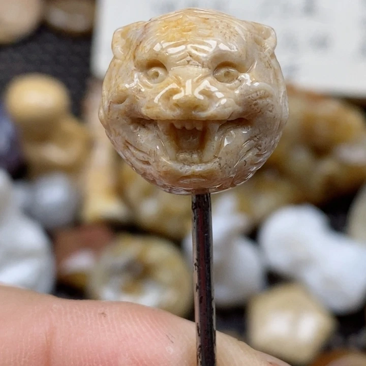 颈饰未镶嵌硅化珊瑚（珊瑚玉）