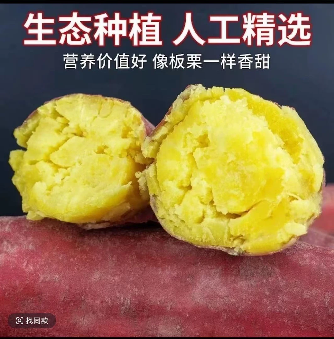 【买3斤送2斤到手5斤】沙地板栗红薯3/5斤地瓜红薯一整箱番薯板栗薯