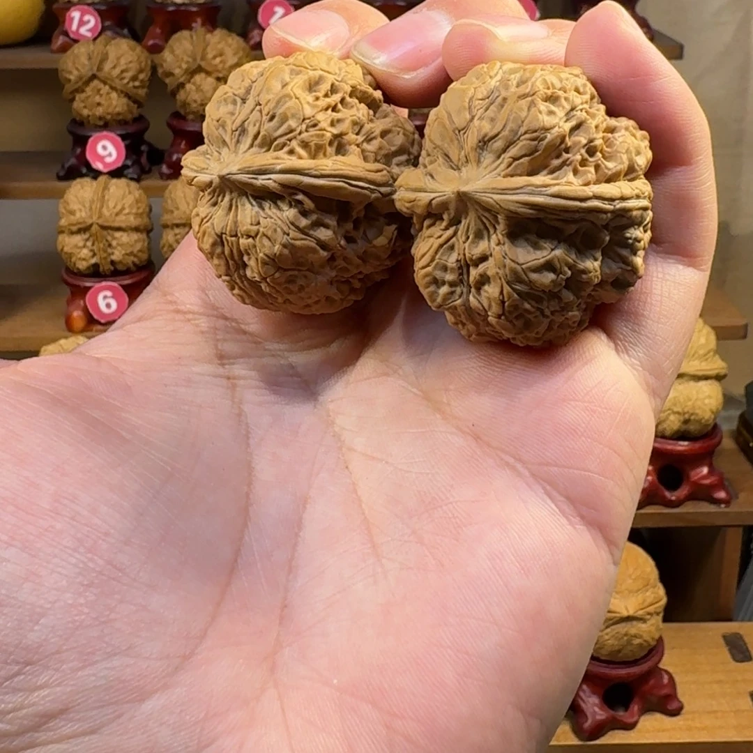 铁核桃把件老树籽 铁蛤蟆头40尺