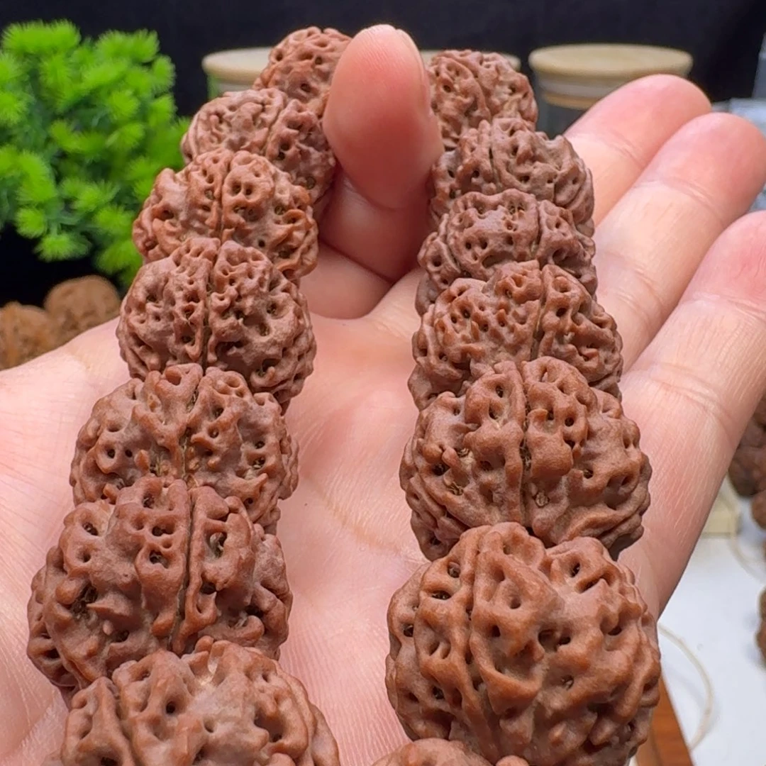 金刚菩提手串大粗筋蜂窝双龙