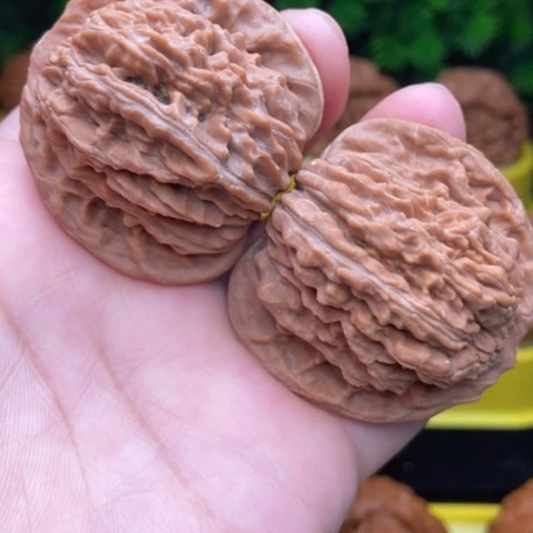 把件文玩核桃43山地全品