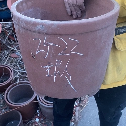 紫砂中国宜兴紫砂花盆，