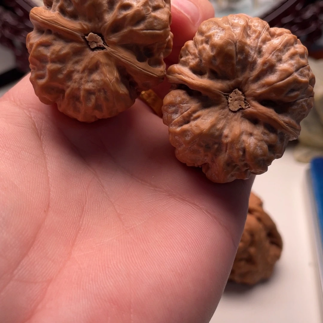 F****核桃蛤蟆头文玩C06