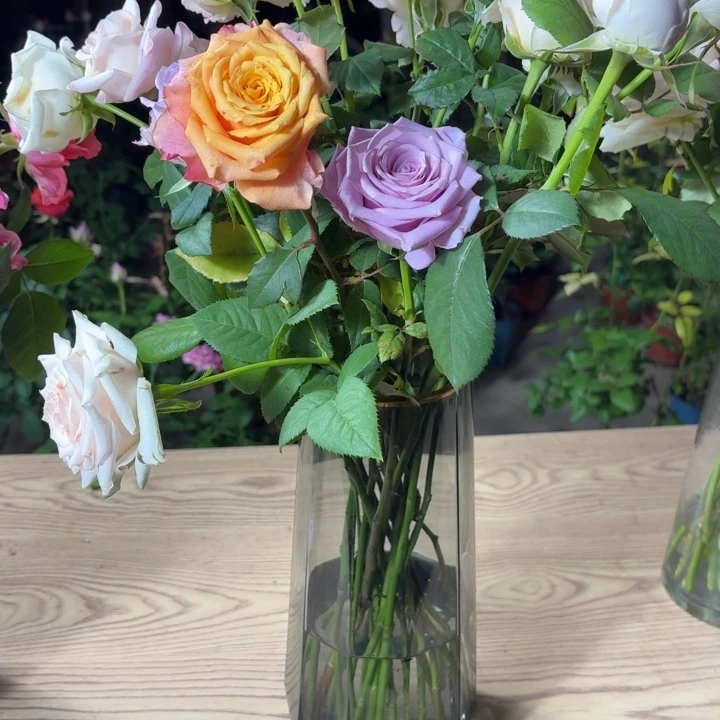 无花朵二加加泰罗