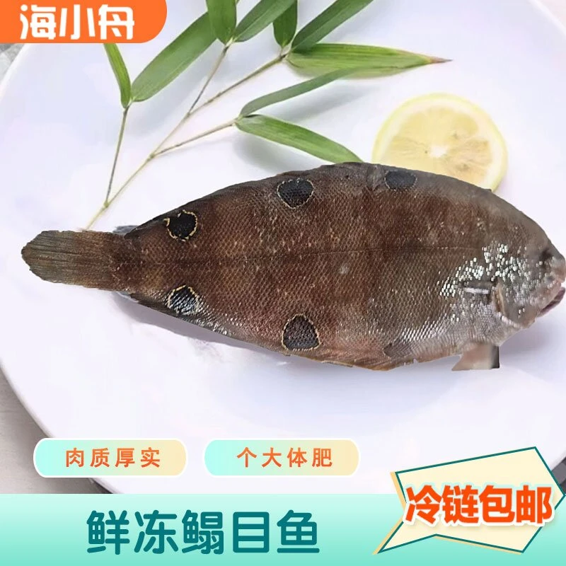 新鲜海捕比目鱼鳎目鱼