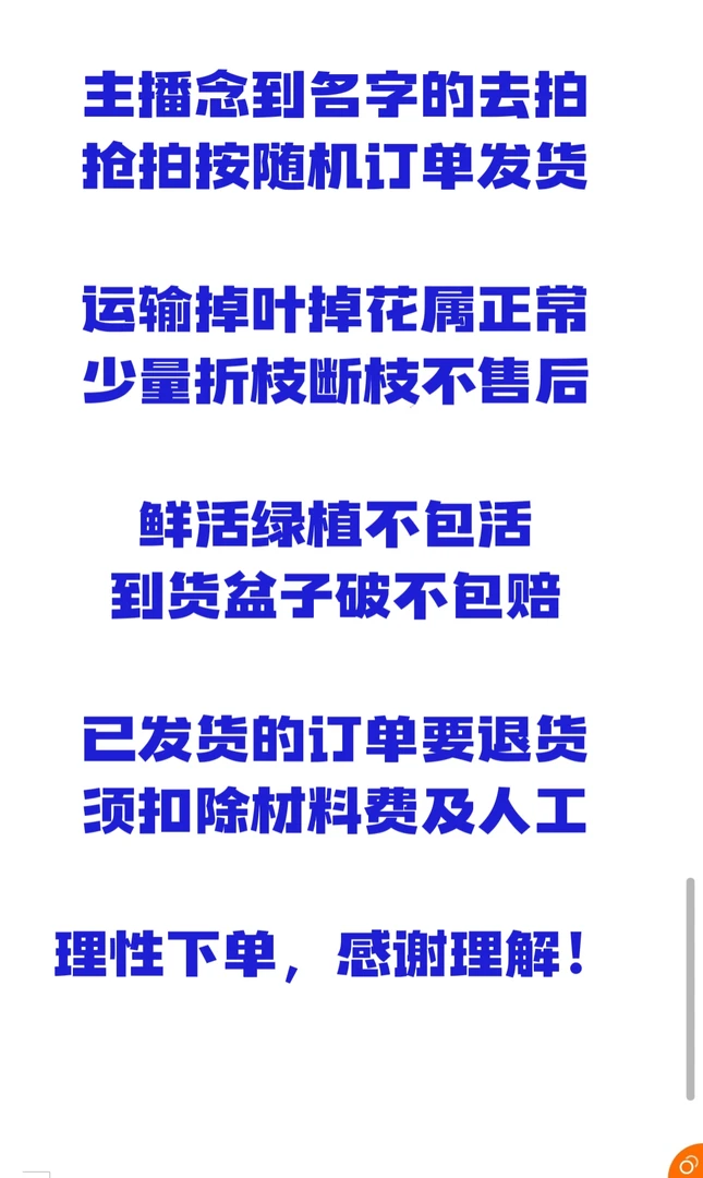 广西横州市茉莉花盆景盆栽