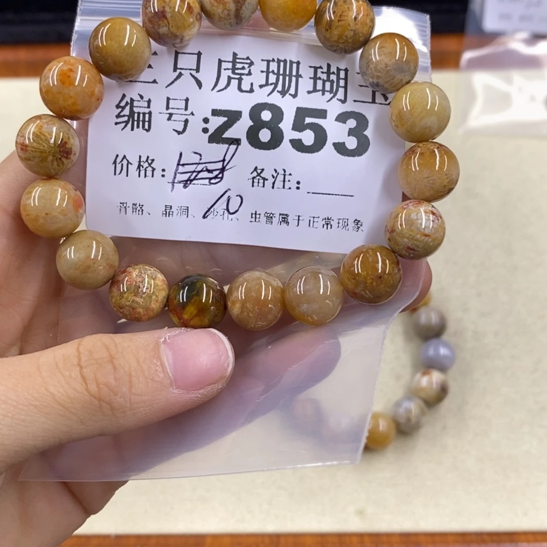 硅化珊瑚（珊瑚玉）1未镶嵌雅*