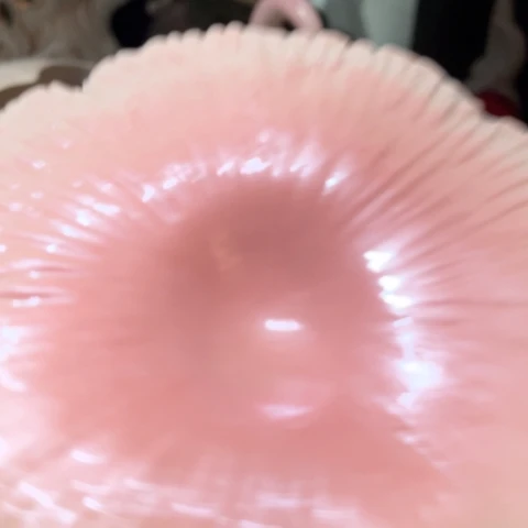 夏***季有机玻璃摆摆件摆件摆件摆件