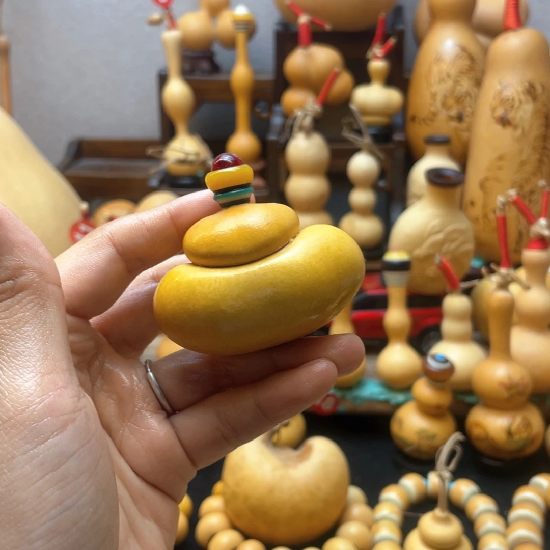 M*X大自然的秘密第十一节你是