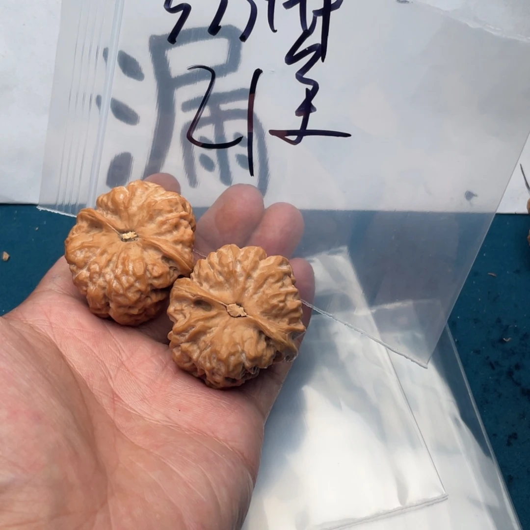 573573357735573357357