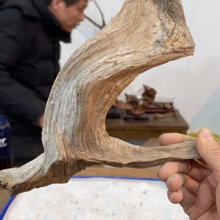 鹰***界我们都是好孩子呀