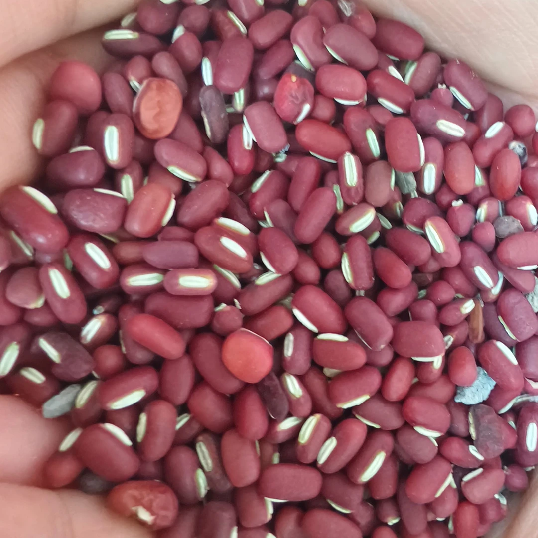 农家自种双色爬山虎豆