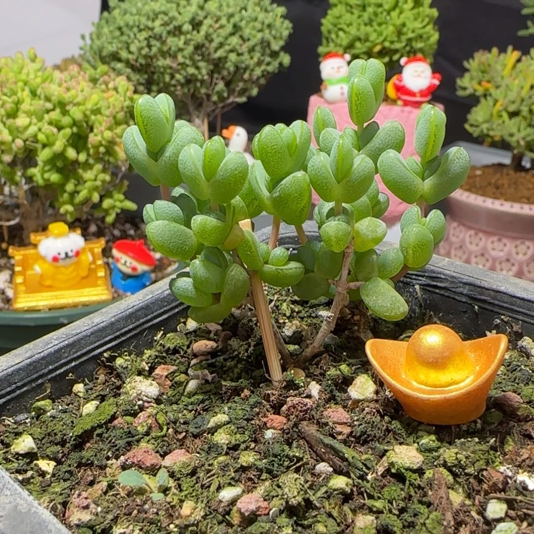 dy0434双岔元宝冠服4cm