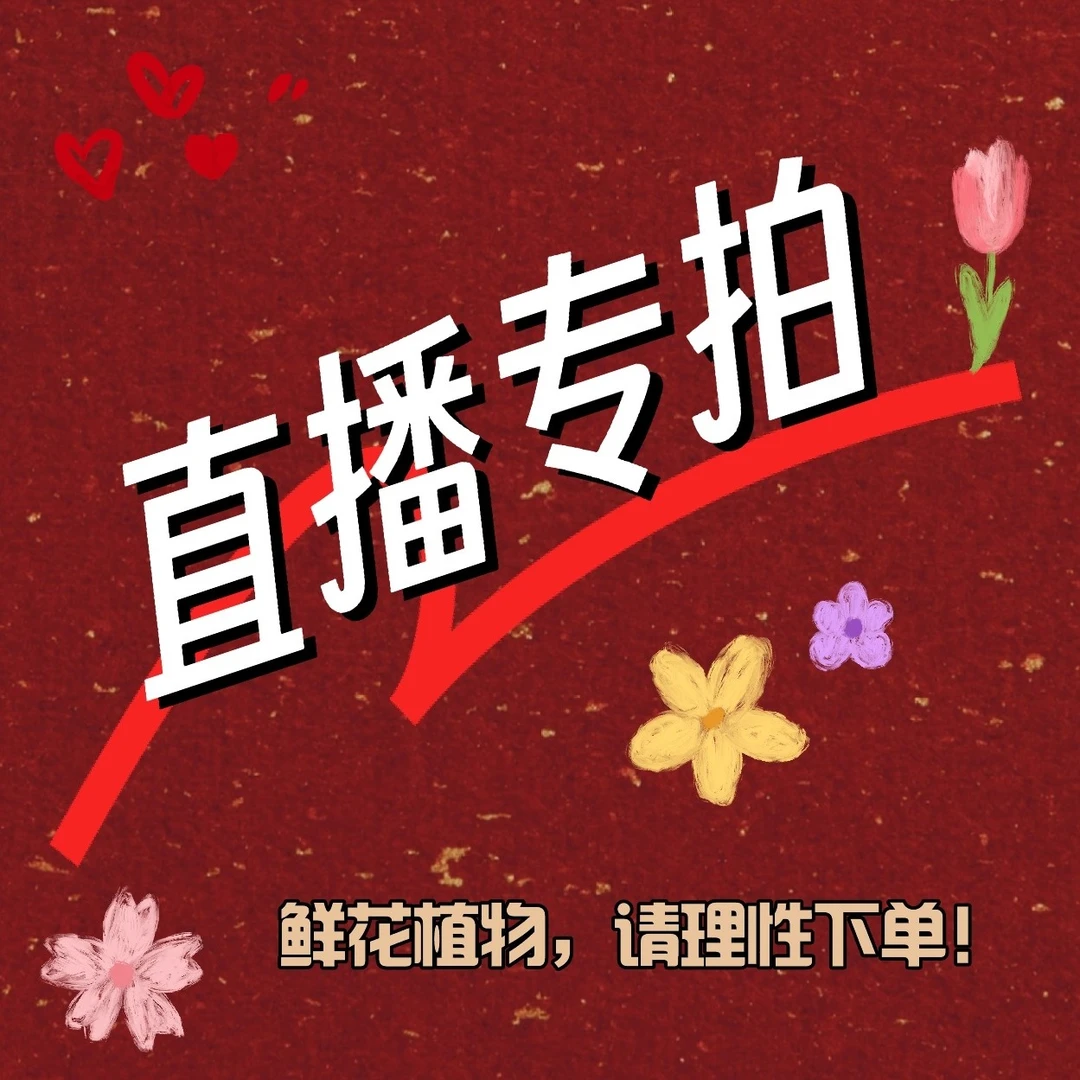 直播间一物一拍～（鲜花植物，请理性下单，谢谢！）
