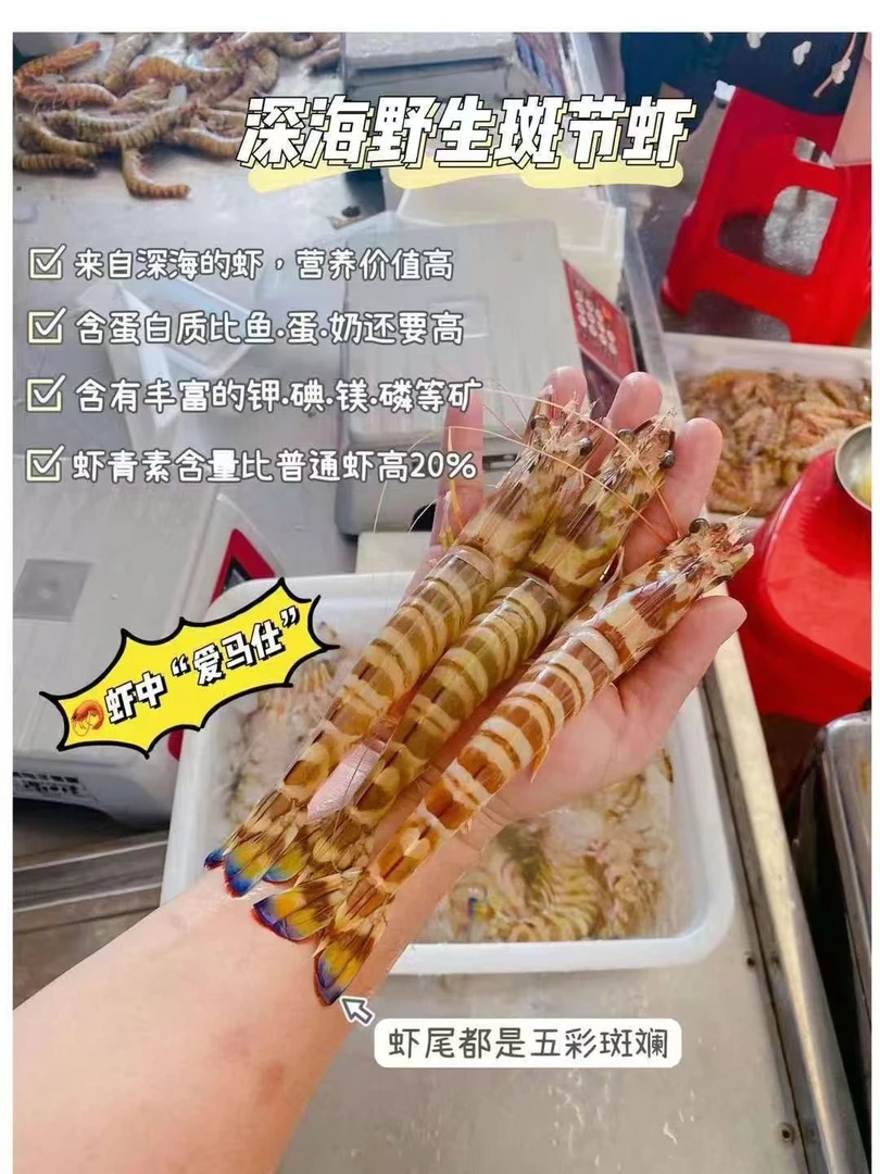 【竹节虾/花虾】北部湾深海捕捞 码头现称现拍 3-5斤顺丰包邮到家
