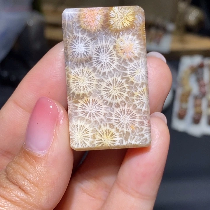 【闪购商品】未镶嵌珊瑚玉硅化玉