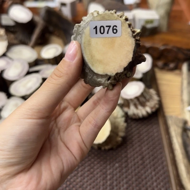 手串/手链鹿骨1076角帽