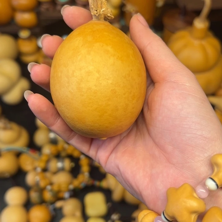 困***魚葫芦葫芦葫芦葫芦