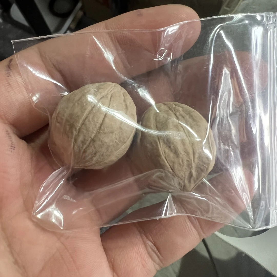 原生态 猴头核桃小手捻 尺寸22+mm左右