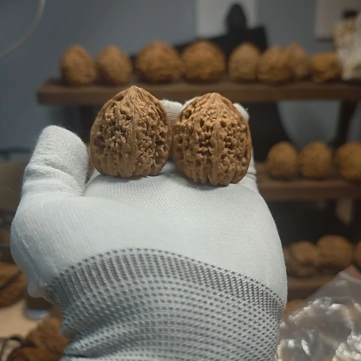 端***度涿鹿南疆石大炮弹