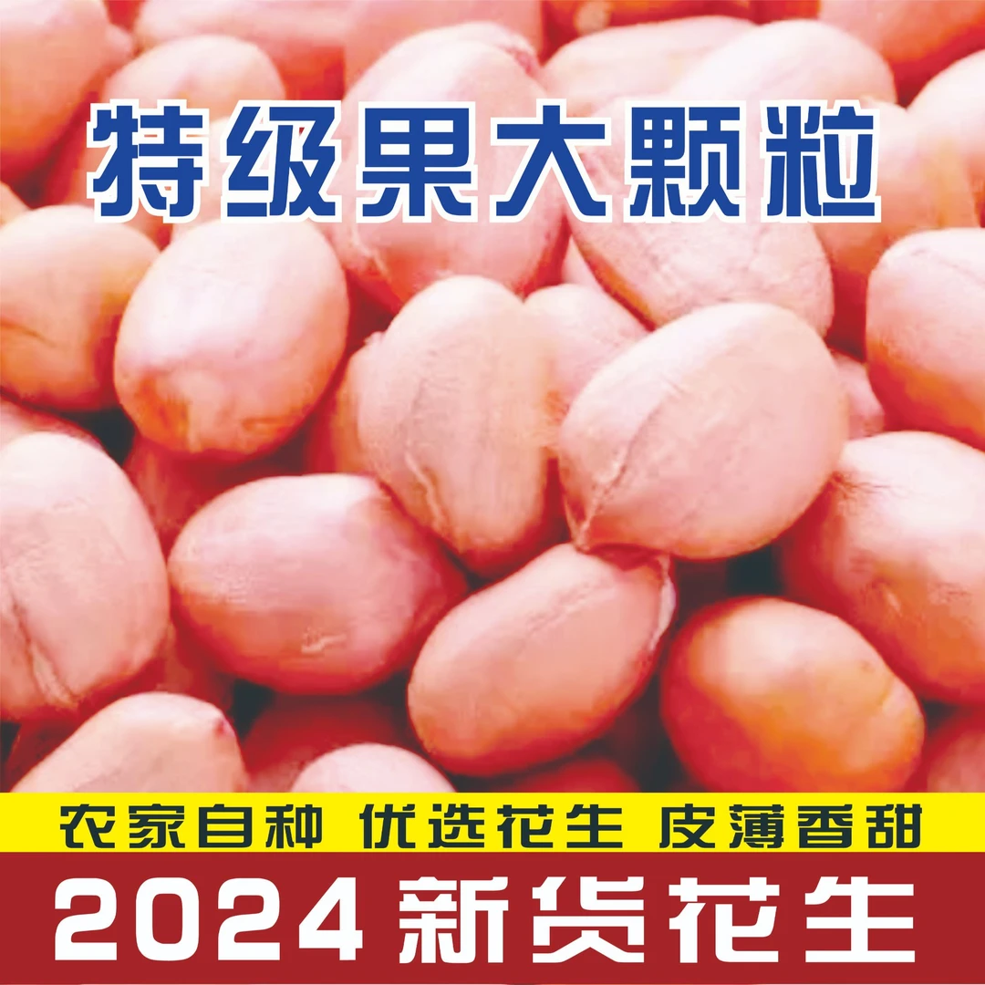 2024新货生花生米10MM特大颗粒花生大白沙花生颗粒饱满香甜可口