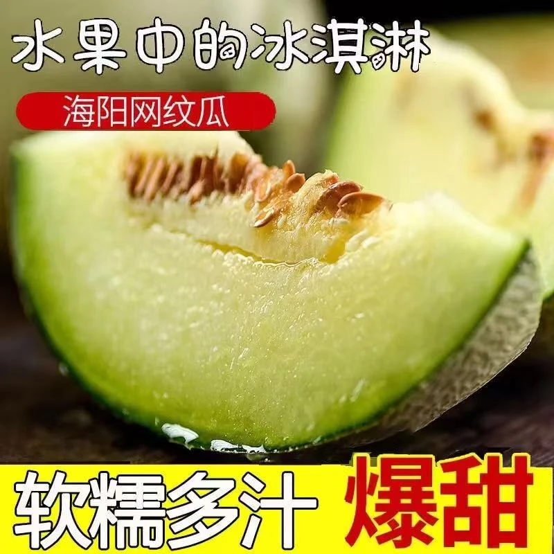 【京东】正宗海阳网纹瓜软糯香甜网红冰淇淋瓜