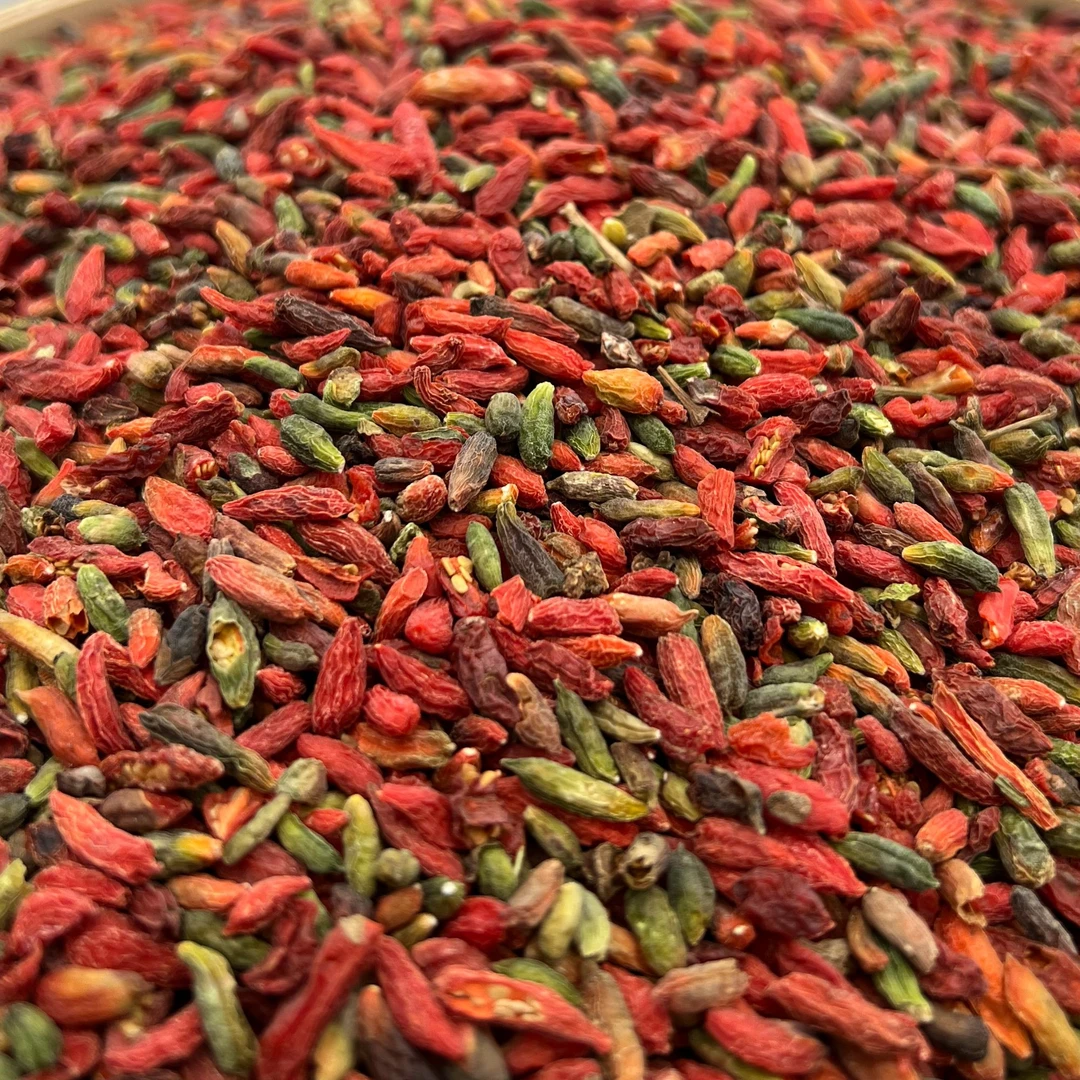 《秋田里》自然生长深山五彩枸杞