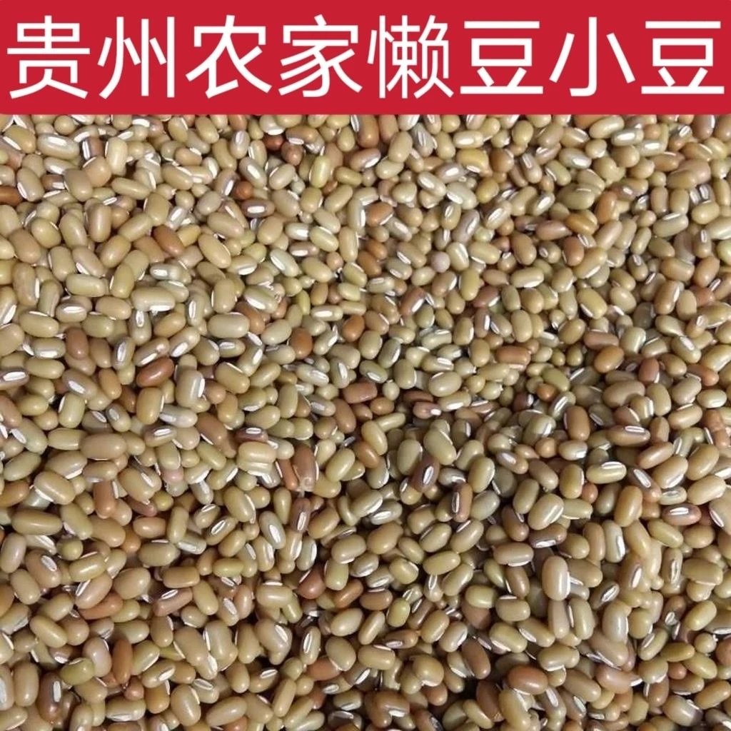 贵豆米豆懒豆巴山豆贵州高原懒豆农家种植小懒豆贵州特产豆馅懒豆
