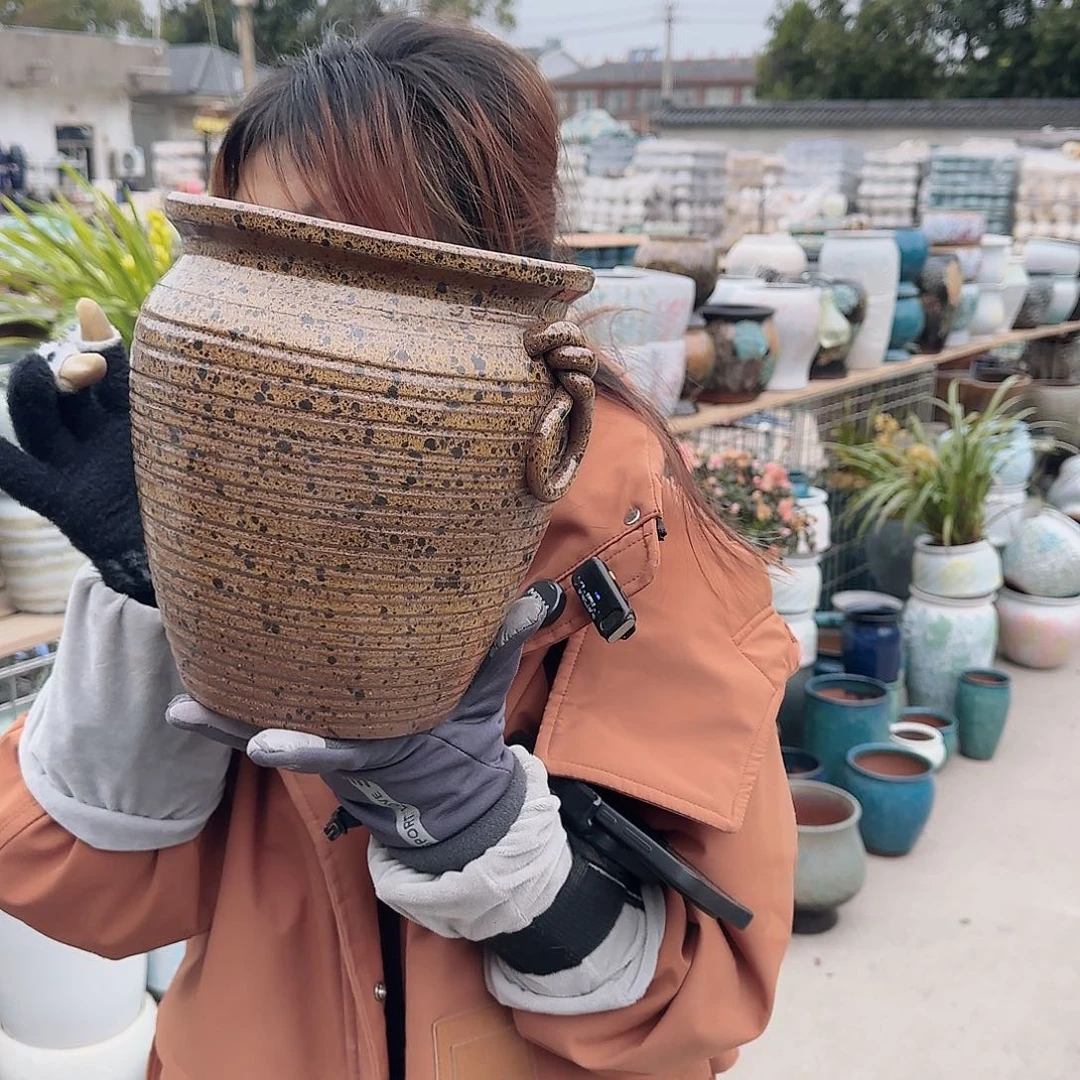 王嫂花盆1212-109高21口19