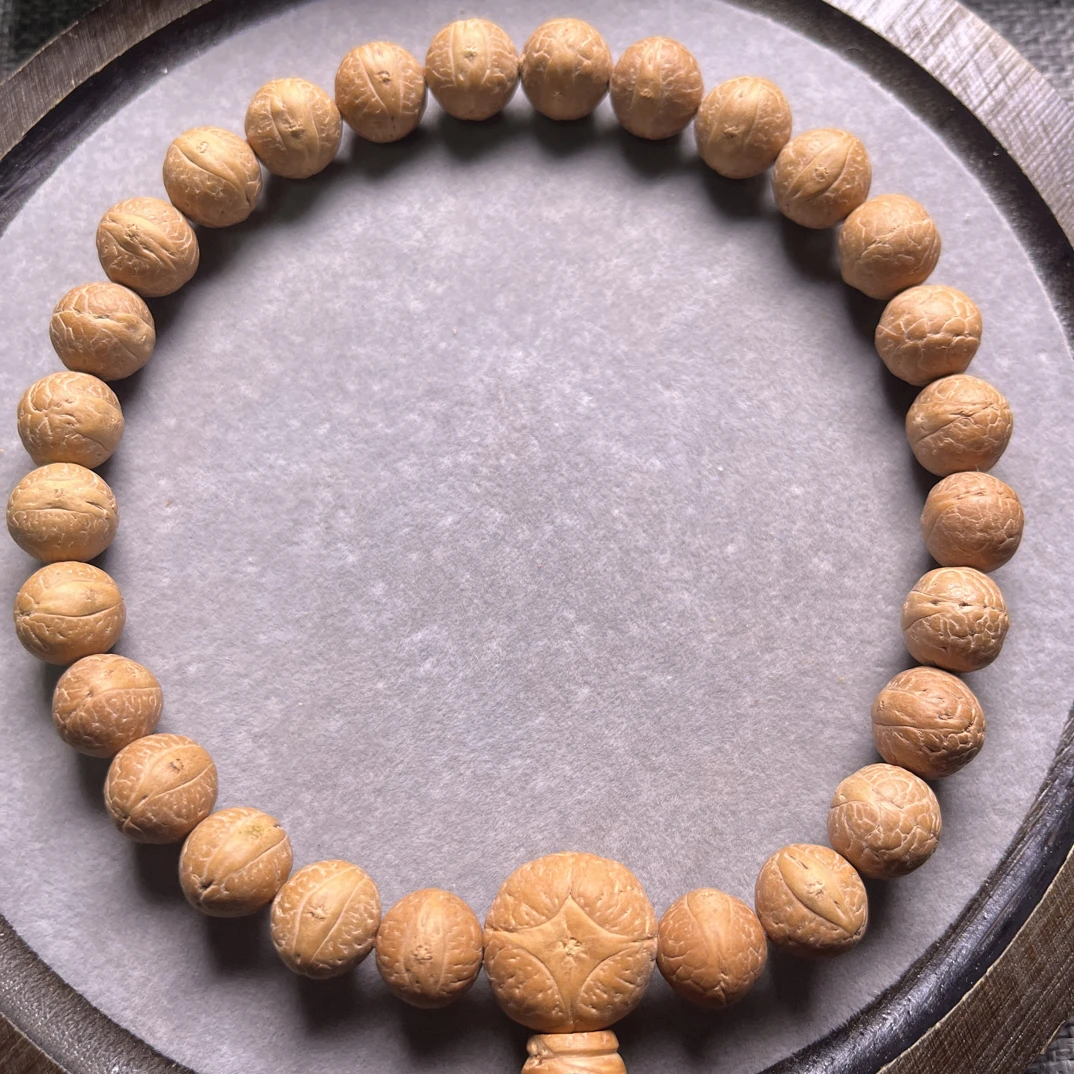 11.5mm尼泊尔凤眼菩提红皮新籽27颗大手持大眼睛同树籽单颗厚皮壳