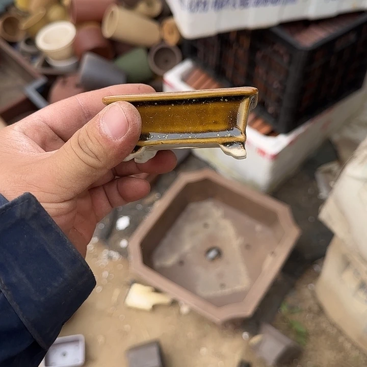 在干嘛的我也睡啦一晚上的呀今天